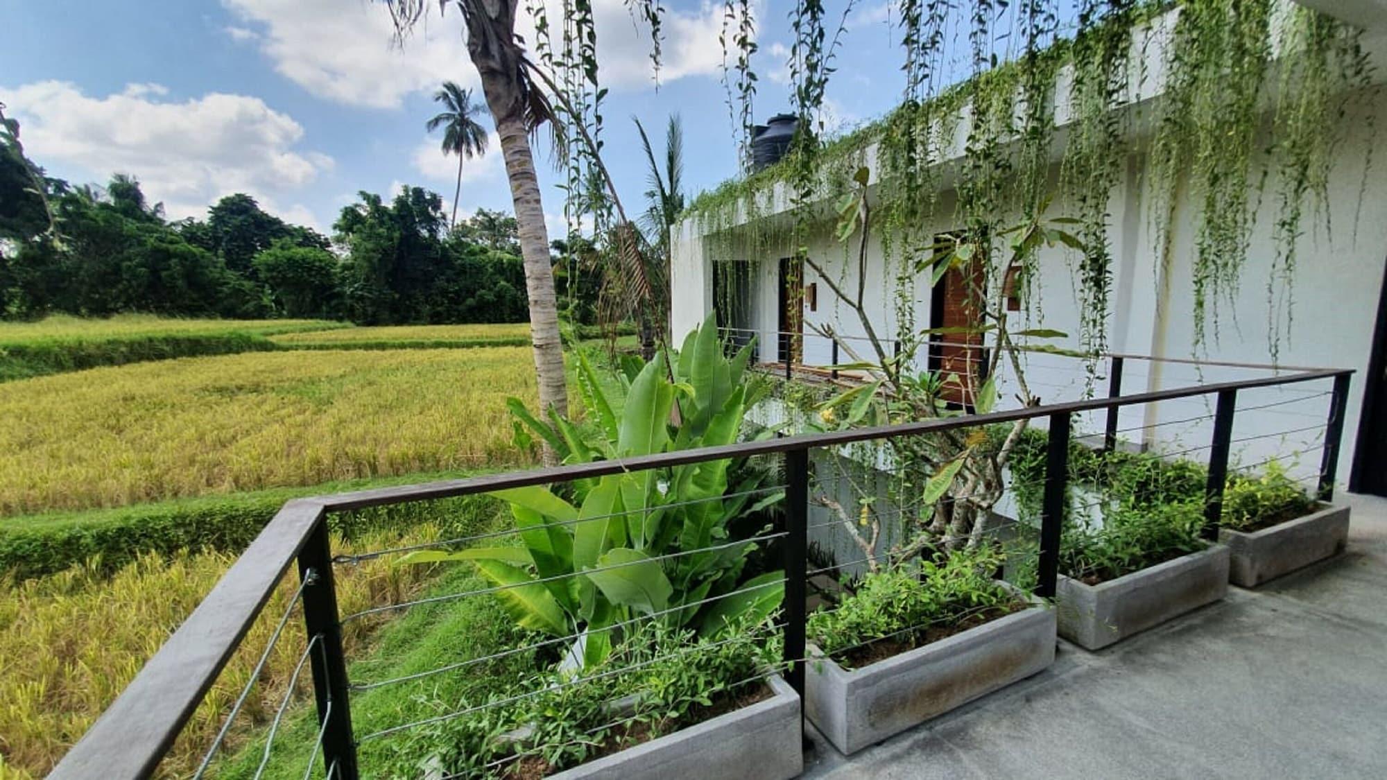 Ayurvedagram Bali Hotel Ubud Exterior foto