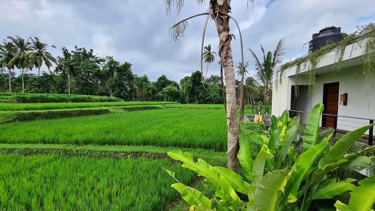 Ayurvedagram Bali Hotel Ubud Exterior foto